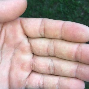 Meet your Posher, Ed